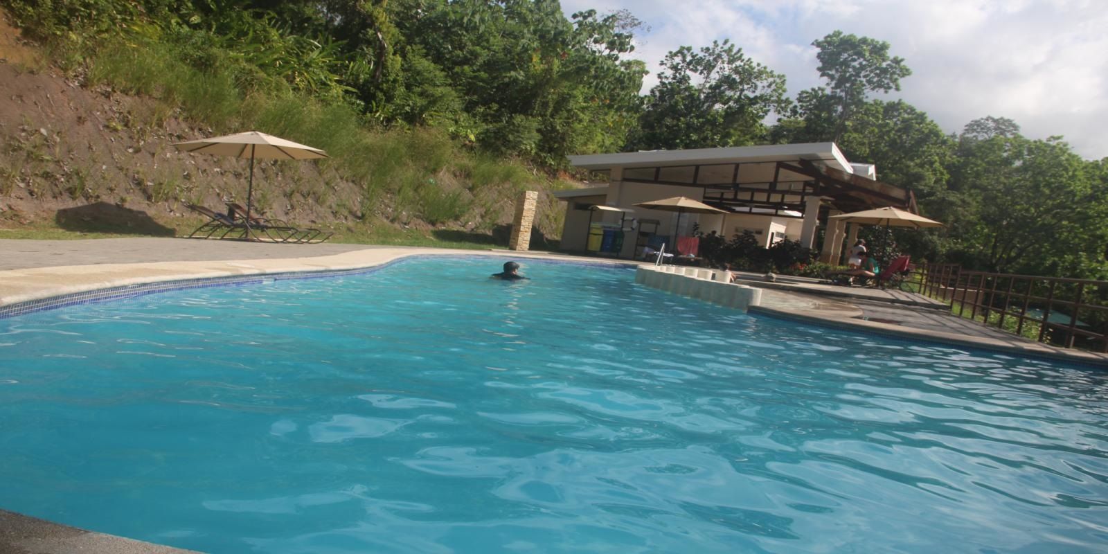 Piscina comunal rodeada de vegetación tropical
